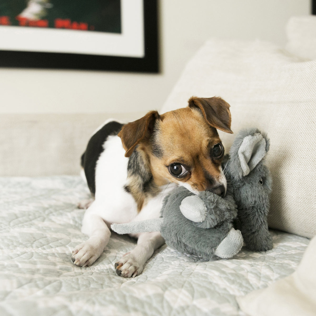 KONG® Comfort Kiddos Lion Dog Plush Toy XS