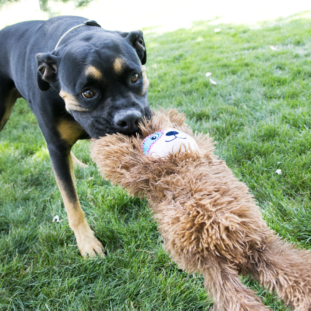 KONG® Tuggz Sloth Dog Tug Toy XL