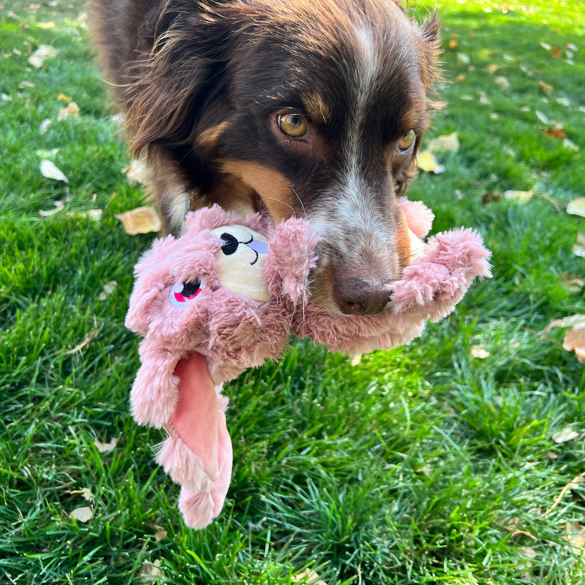 KONG® Scrumplez Bunny Dog Plush Toy Medium