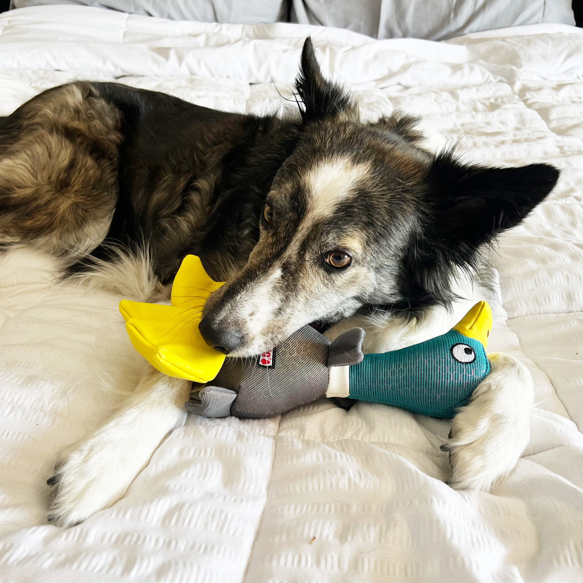 KONG® Shakers™ Shimmy Mallard Dog Plush Toy Medium