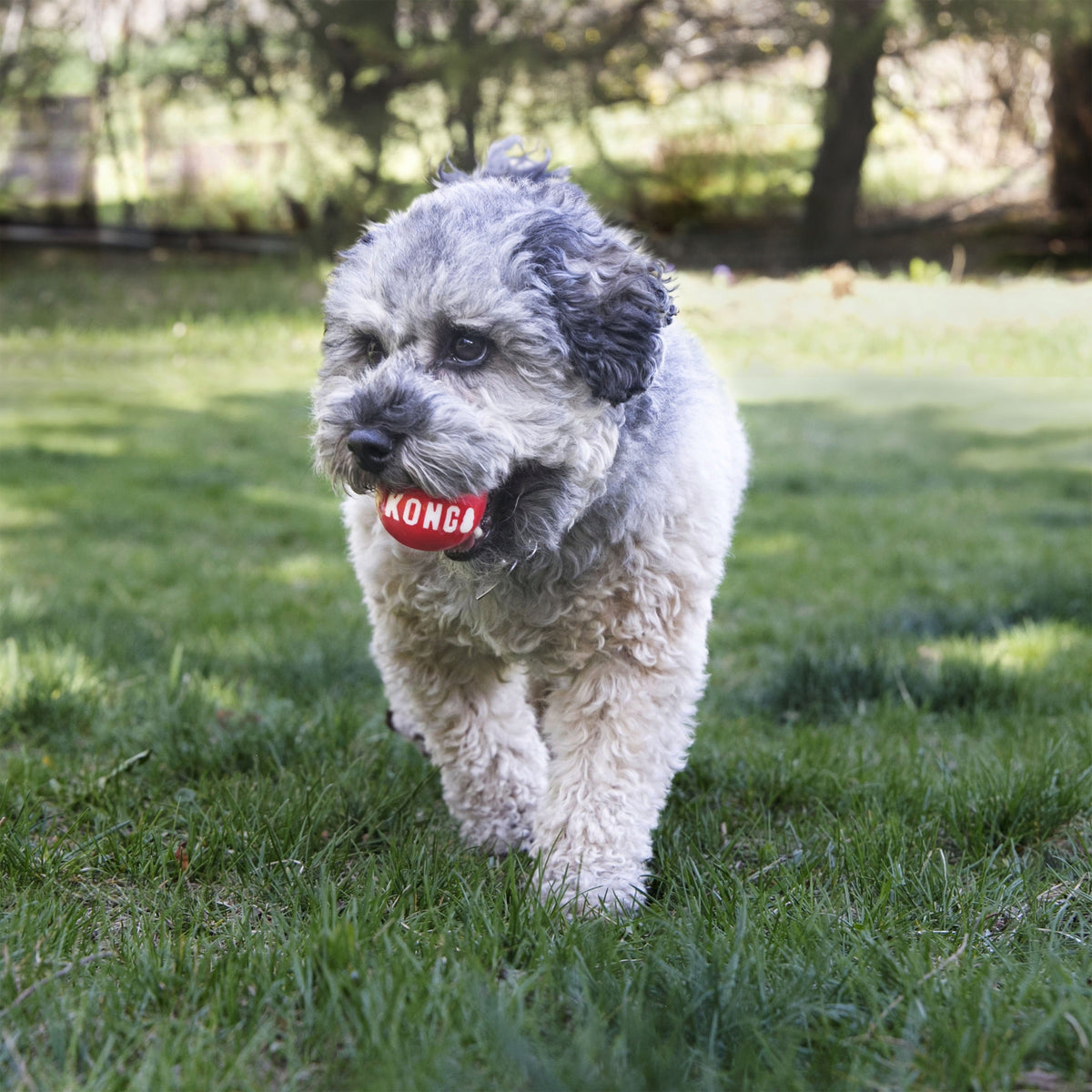 KONG® Signature Ball Dog Fetch Toy Medium