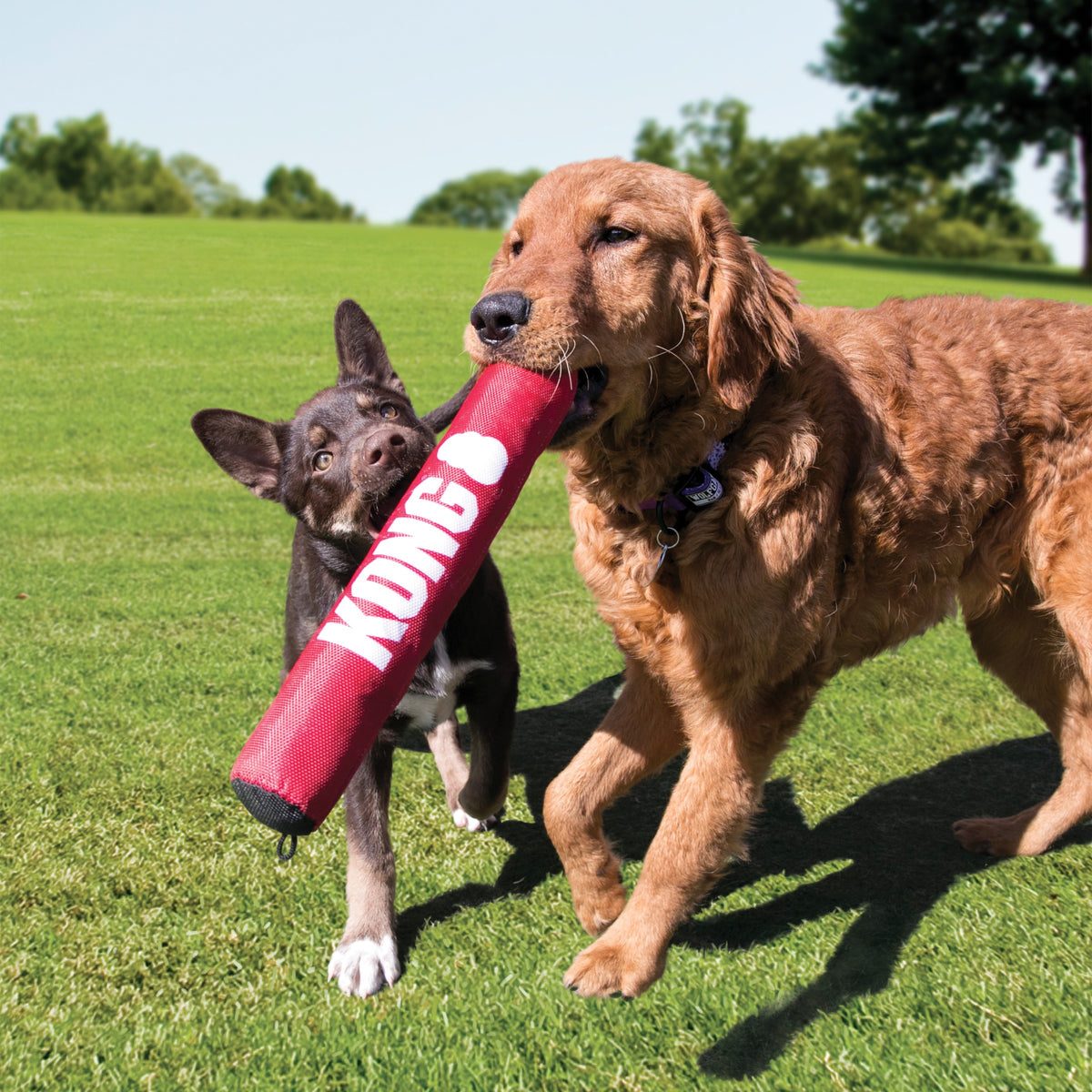 KONG® Signature Stick Dog Fetch Toy Large