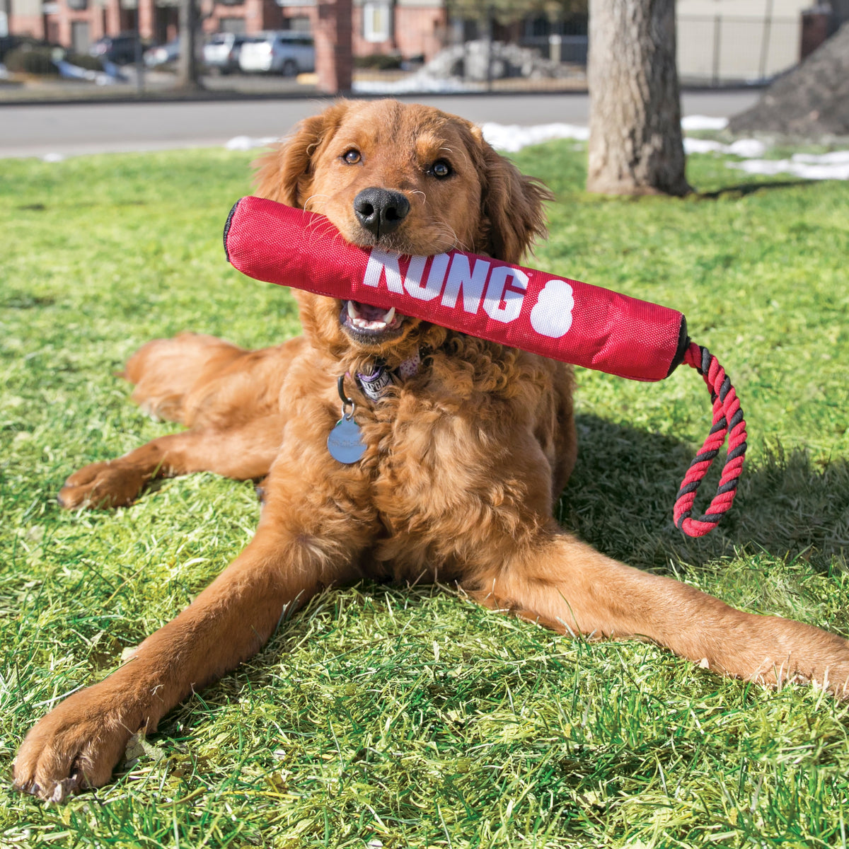 KONG® Signature Stick w/Rope Dog Fetch Toy Medium