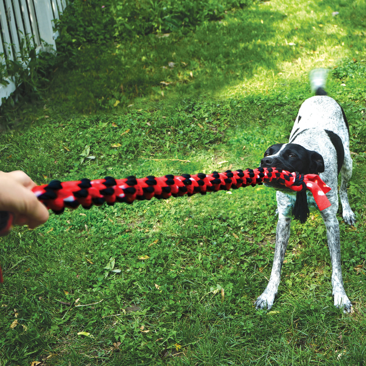 KONG® Signature Rope Double Tug Dog Toy 22"