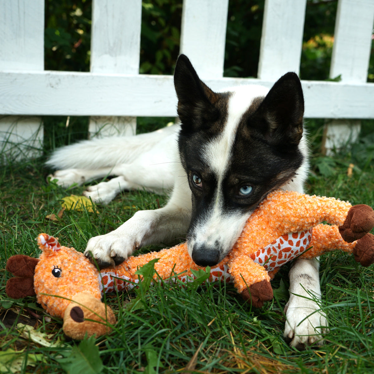 KONG® Shakers™ Luvs Giraffe Dog Plush Toy Small