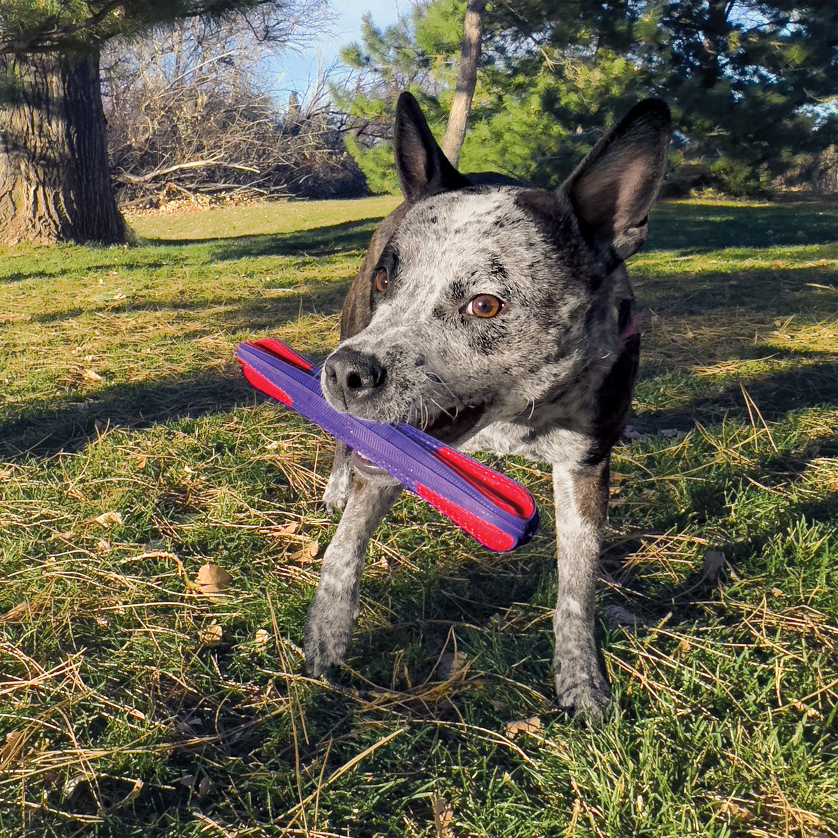 KONG® Duets Duos Stick Dog Fetch Toy Large