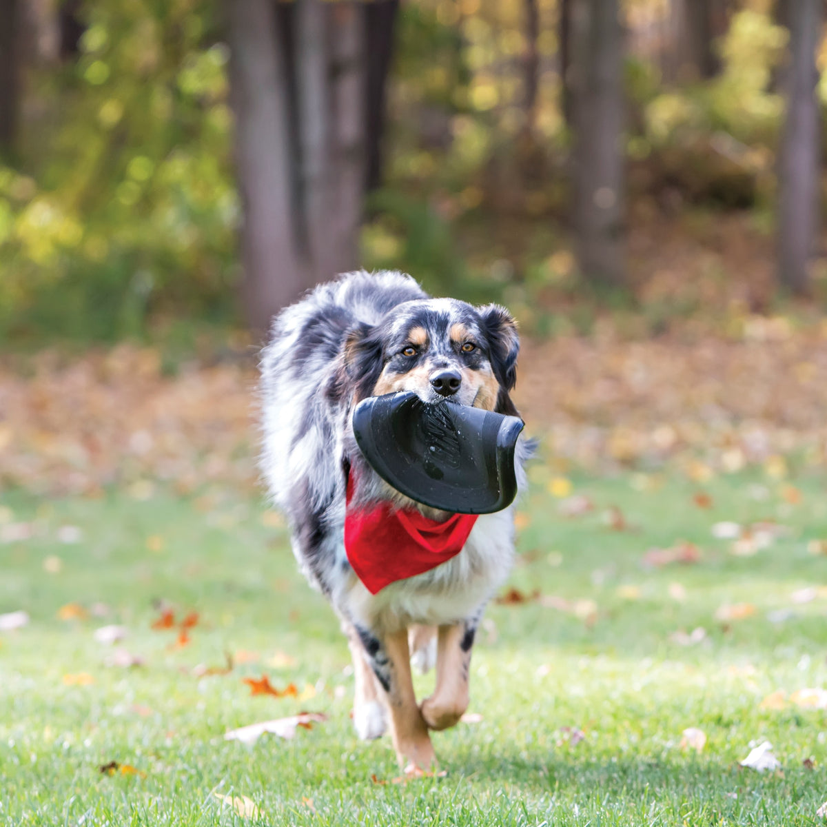KONG® Extreme Flyer® Dog Fetch Toy Large