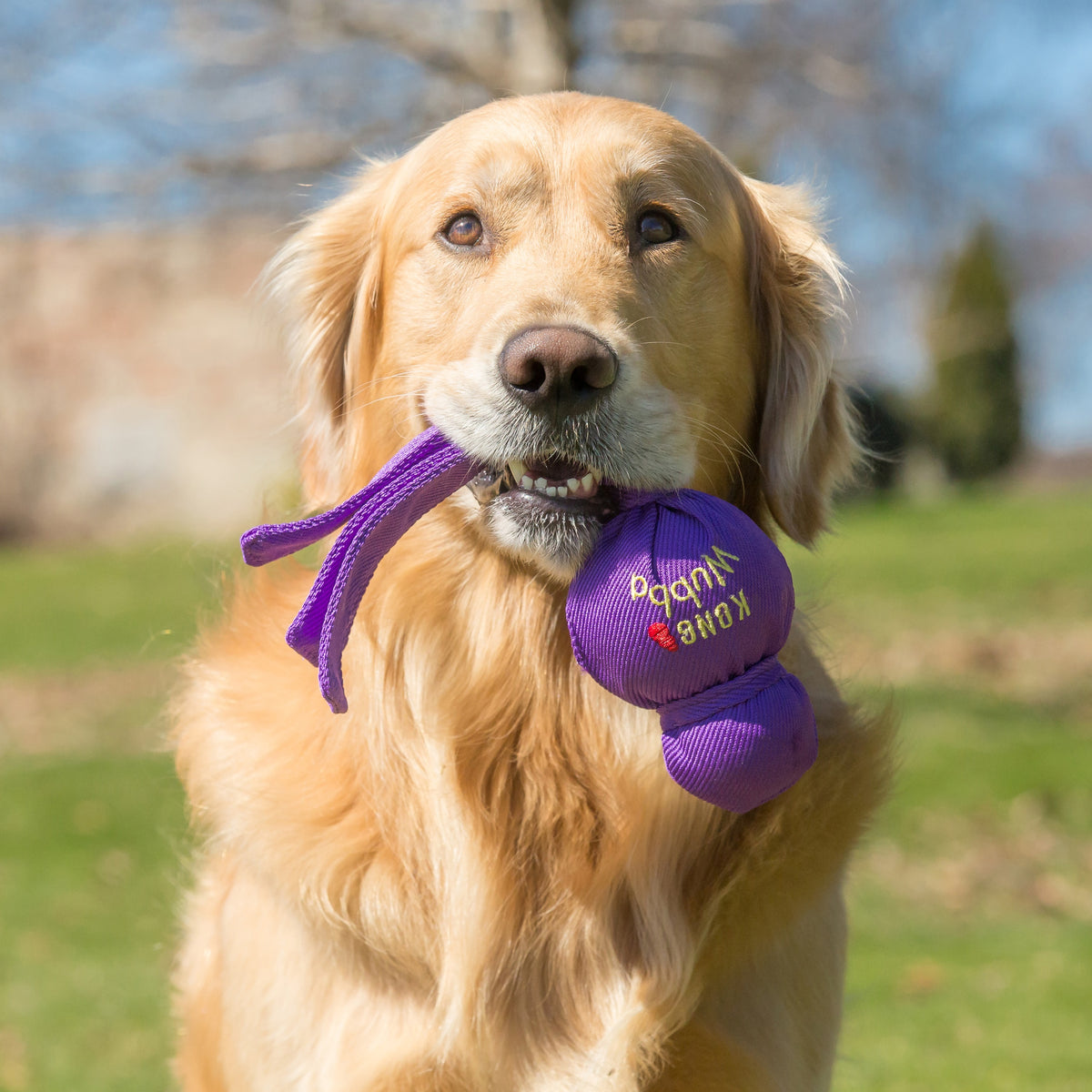 KONG® Wubba Dog Tug Toy Assorted XL