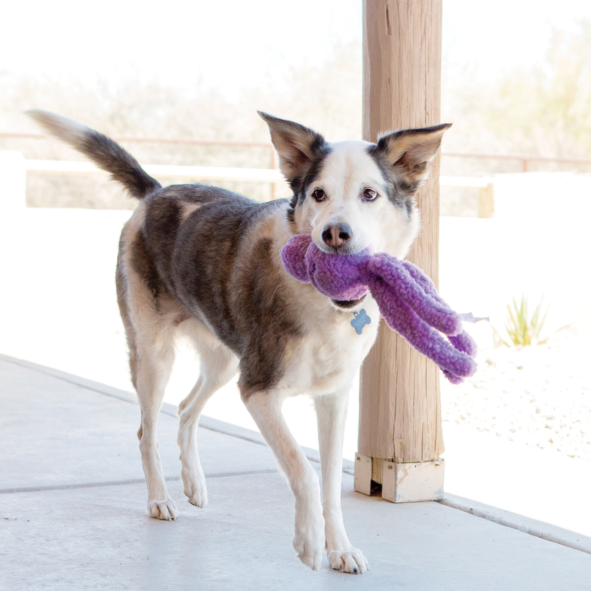KONG® Snugga Wubba Dog Tug Toy Assorted Small