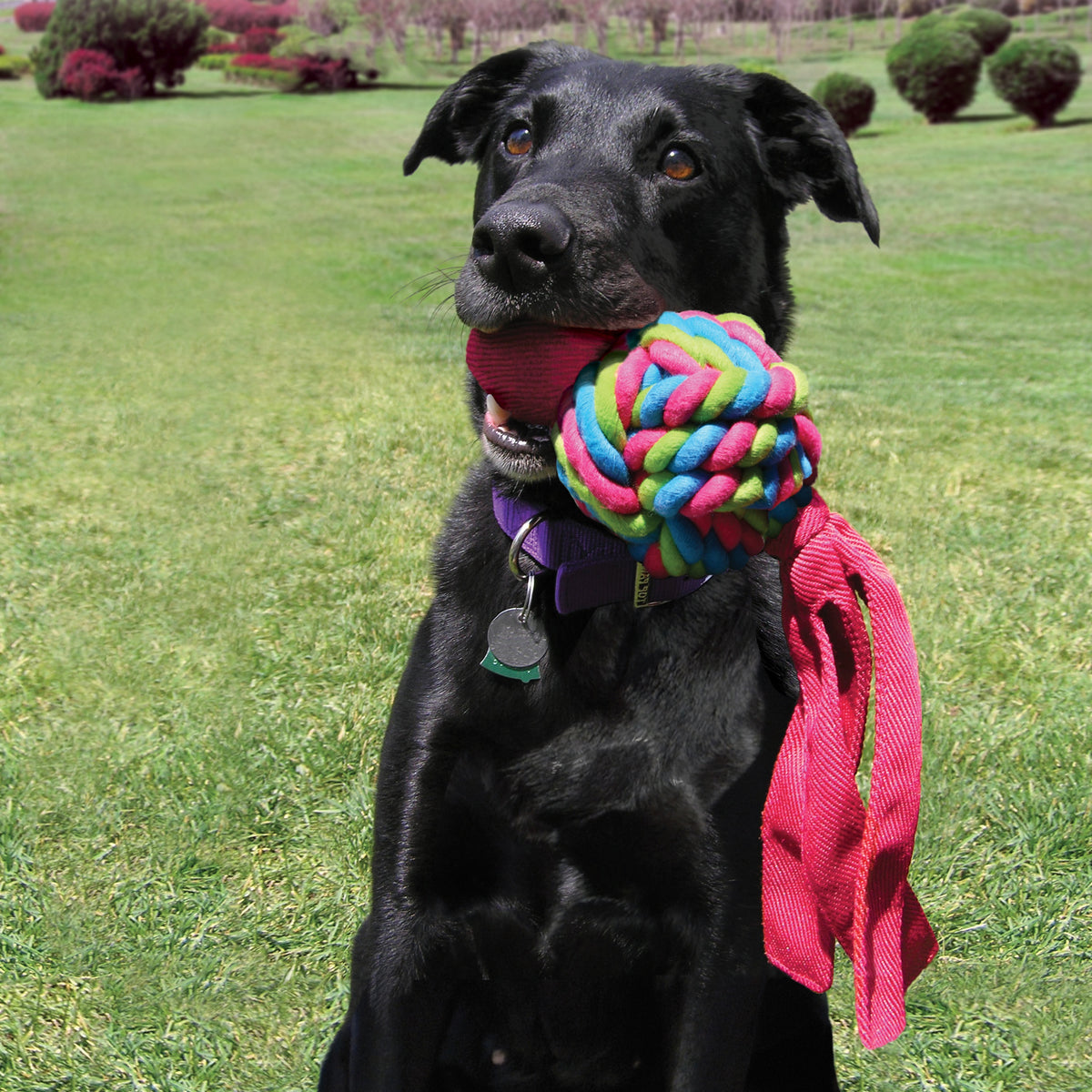 KONG® Wubba Weaves Dog Tug Toy Assorted XL