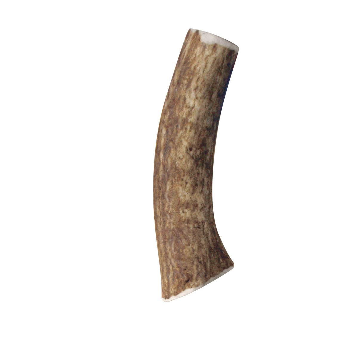 KONG® Wild Antler Whole Medium