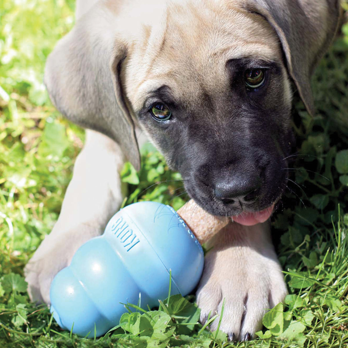 KONG® Ziggies® Puppy Large