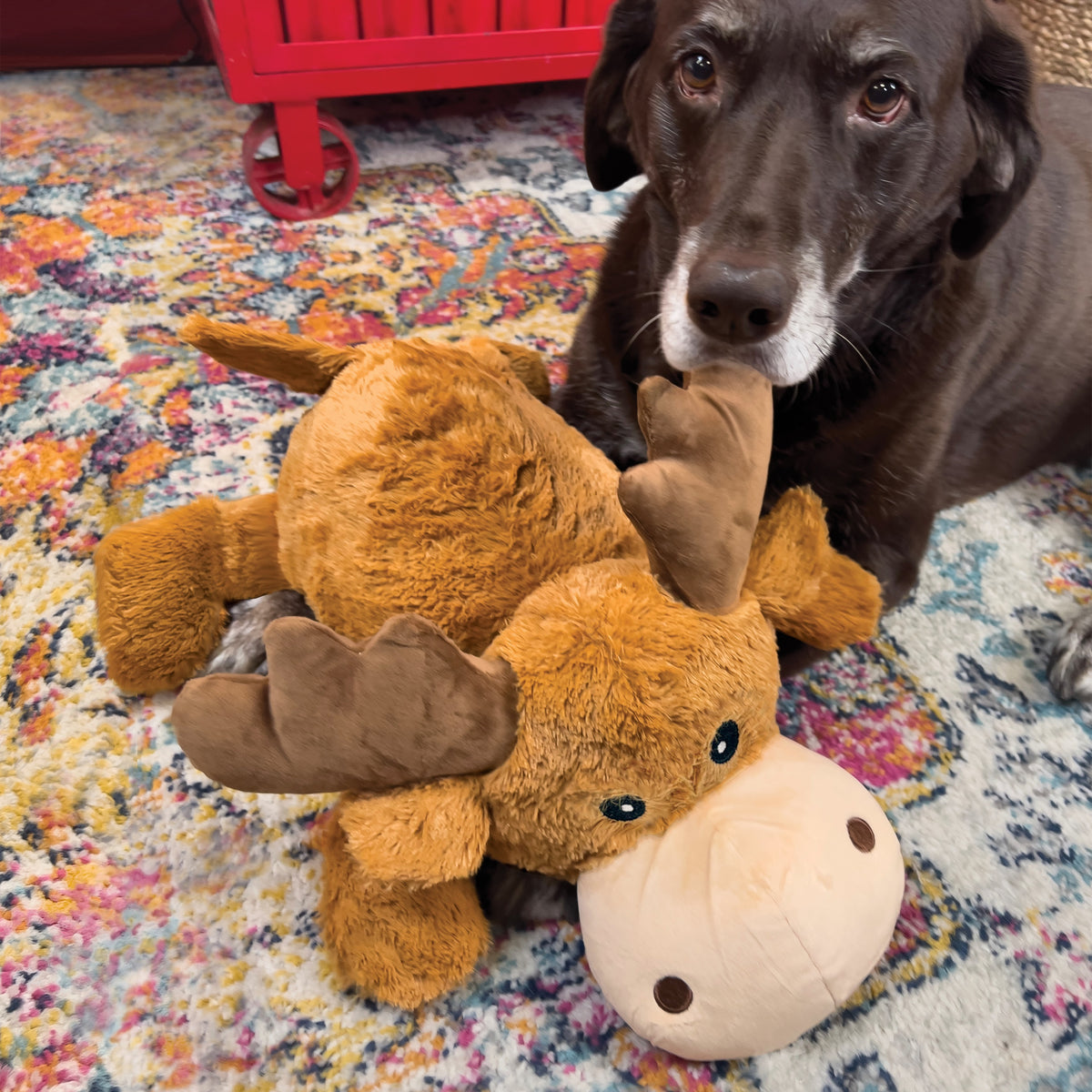 KONG® Cozie™ Marvin Moose XL