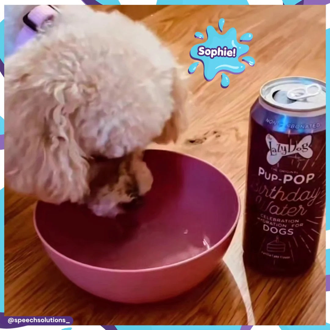 Lazy Dog Pup-POP® Birthday Water Vanilla Cake Flavor Case of 4