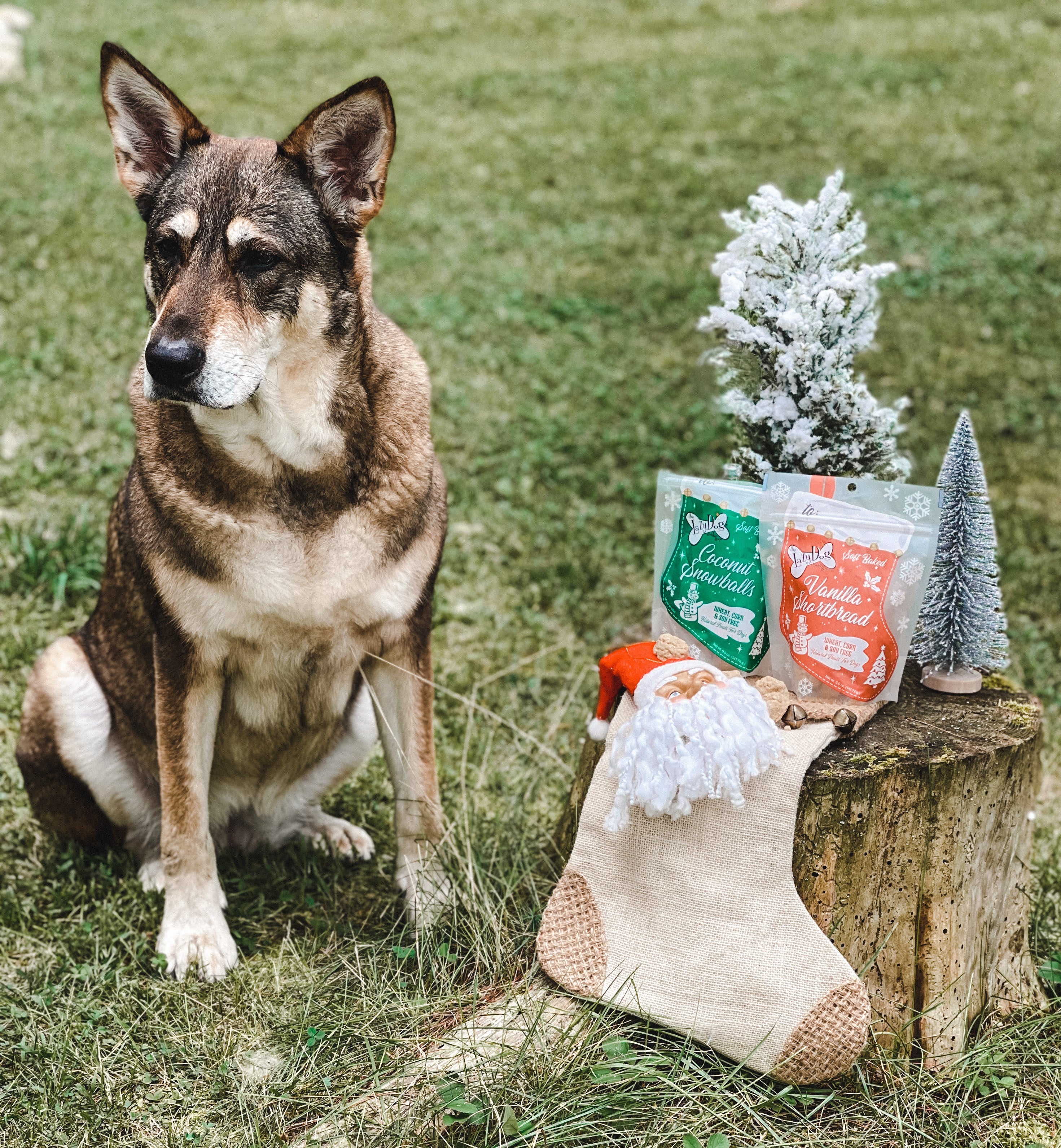 Lazy Dog Coconut Snowballs Stocking Dog Treat
