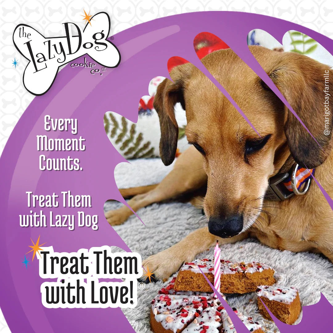 Lazy Dog Happy Birthday Pup-PIE for a Special Dog Treat 5oz - Case of 8    
Individual UPC 894137000336
