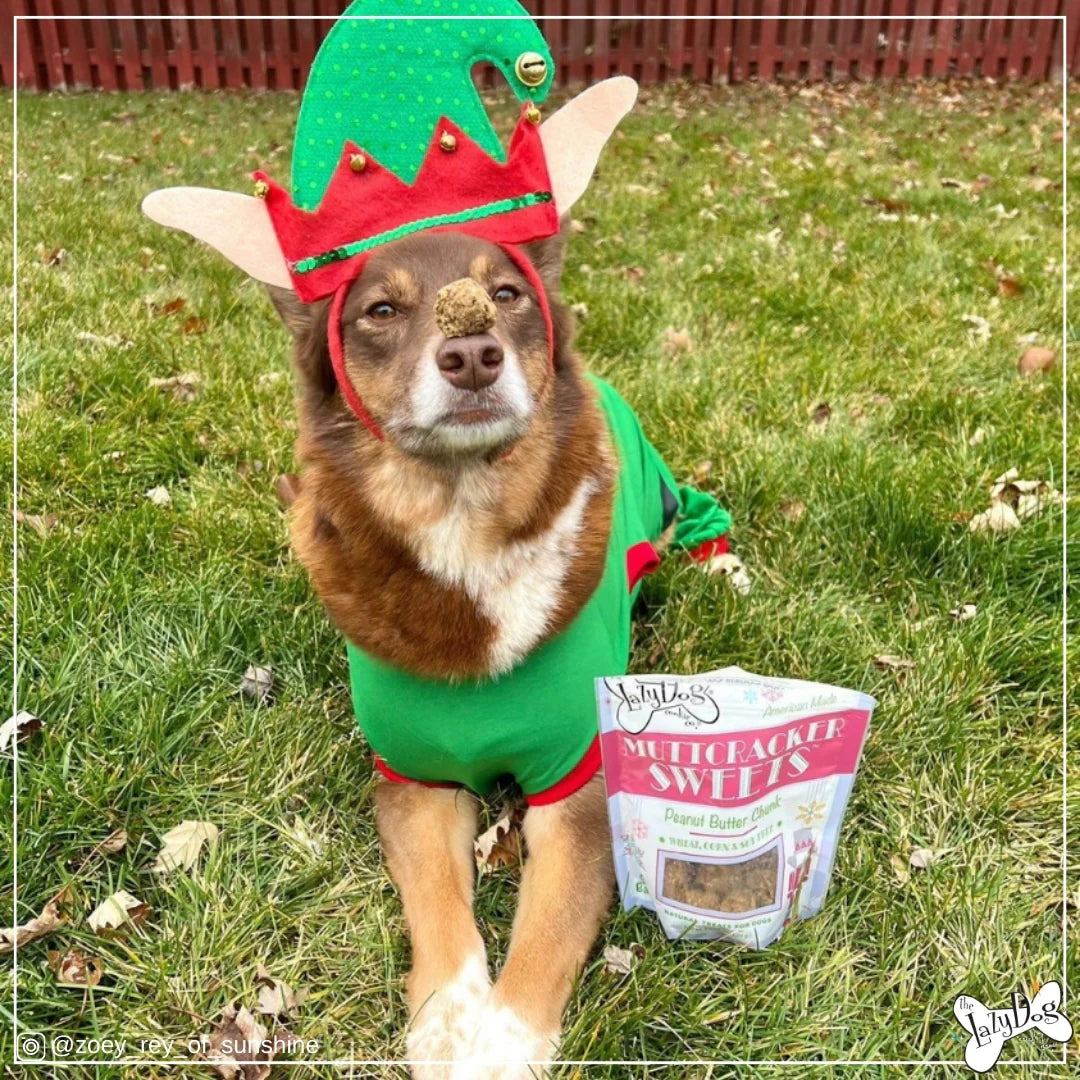 Lazy Dog Muttcracker Sweets Dog Treat