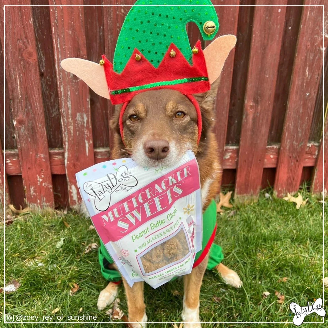 Lazy Dog Muttcracker Sweets Dog Treat