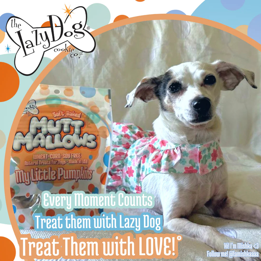 Lazy Dog Mutt Mallows Pumpkin Dog Treat