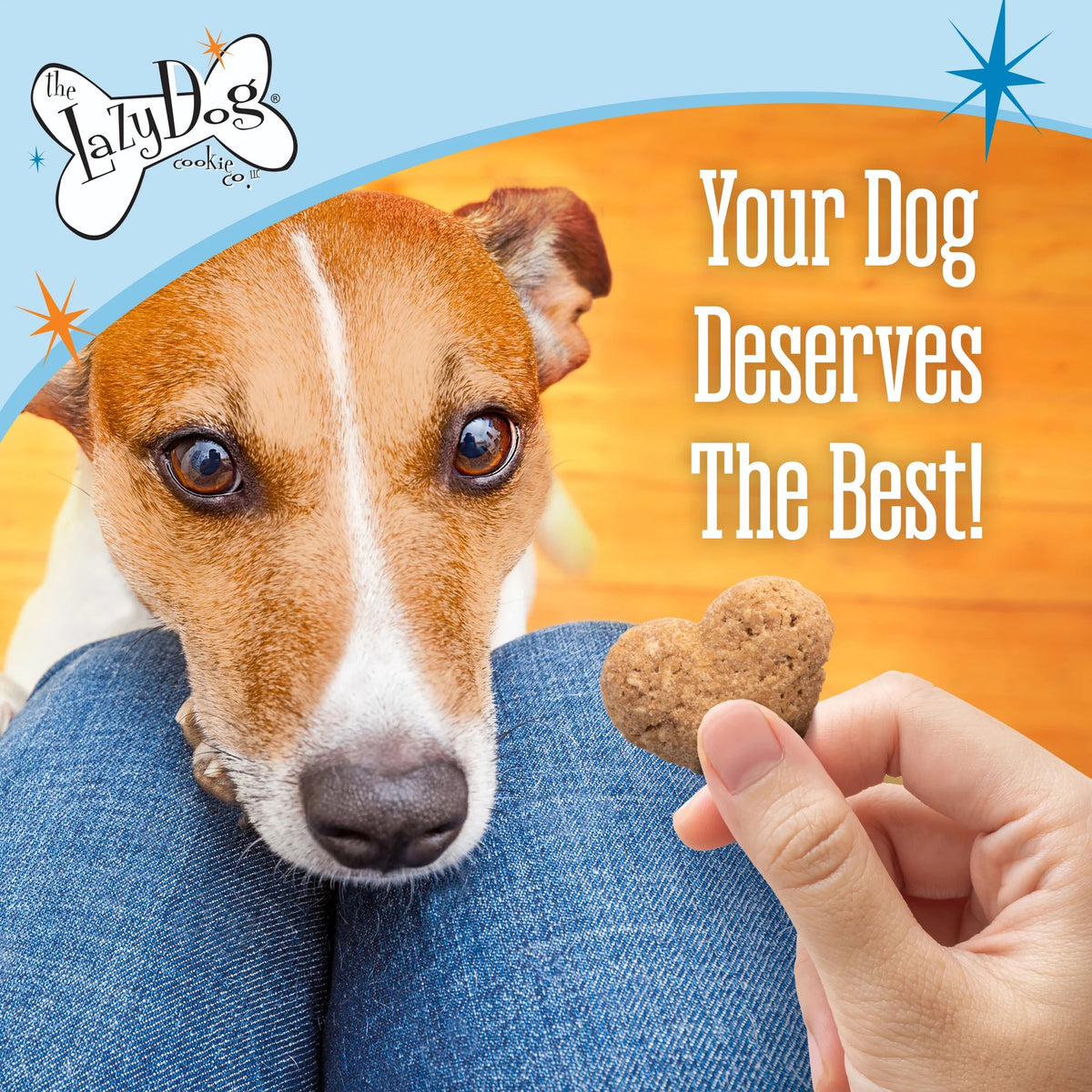 Lazy Dog Boxed Biscuits Candied Maple Sweet Potato GF 14 oz