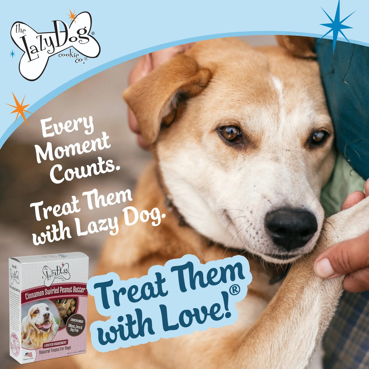 Lazy Dog Boxed Biscuits Cinnamon Swirled Peanut Butter WCSF 14 oz