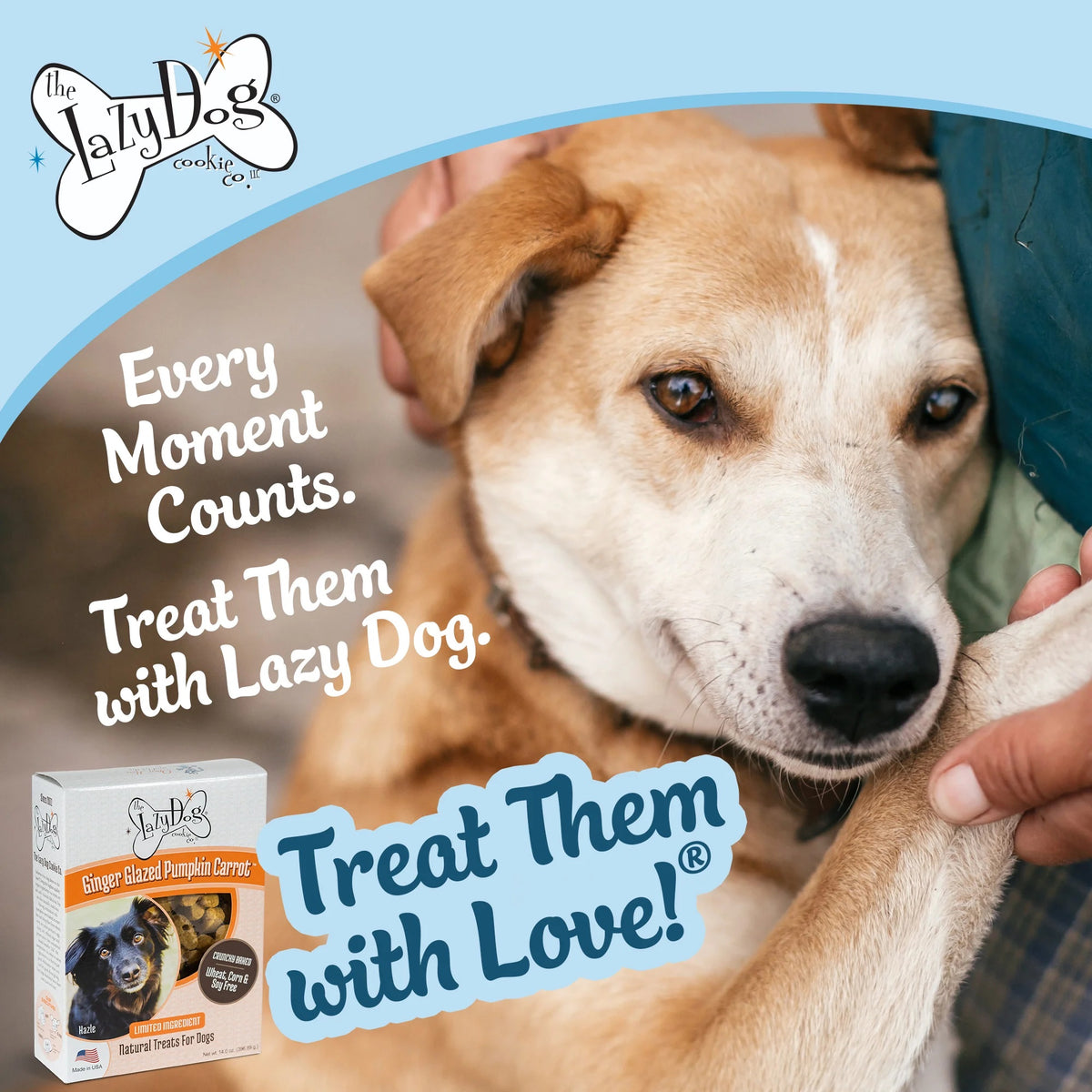 Lazy Dog Boxed Biscuits Ginger Glazed Pumpkin Carrot WCSF 14 oz