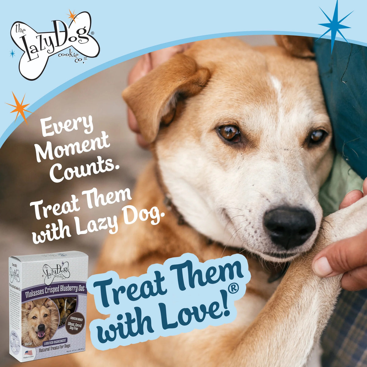 Lazy Dog Boxed Biscuits Molasses Crisped Blueberry Oat WCSF 14 oz