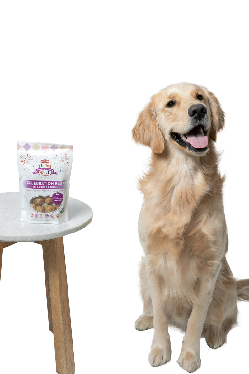 Lord Jameson Celebration Bash Organic Soft & Chewy Dog Treats 6oz
