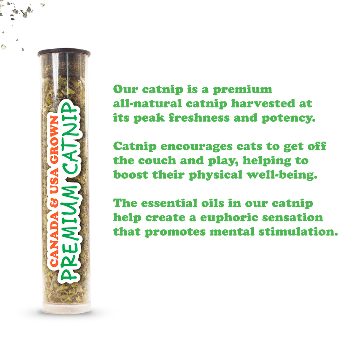 Meowijuana "Get Spooked" - Spiced Latte Fillable Catnip Toy