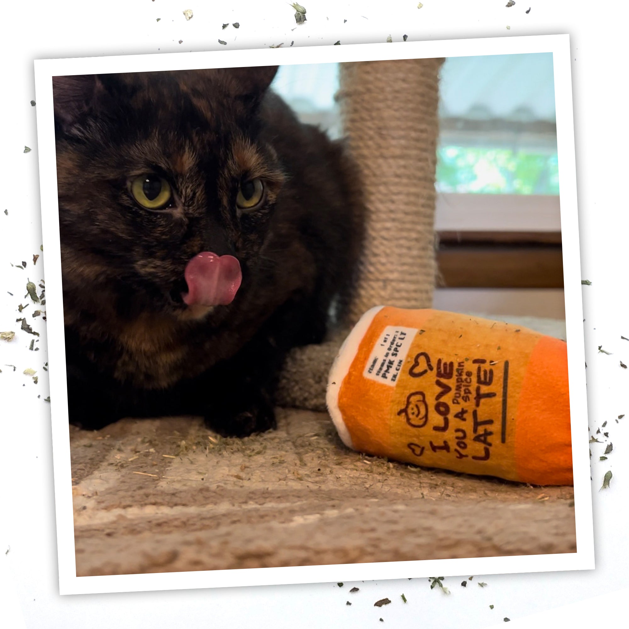 Meowijuana "Get Spooked" - Spiced Latte Fillable Catnip Toy
