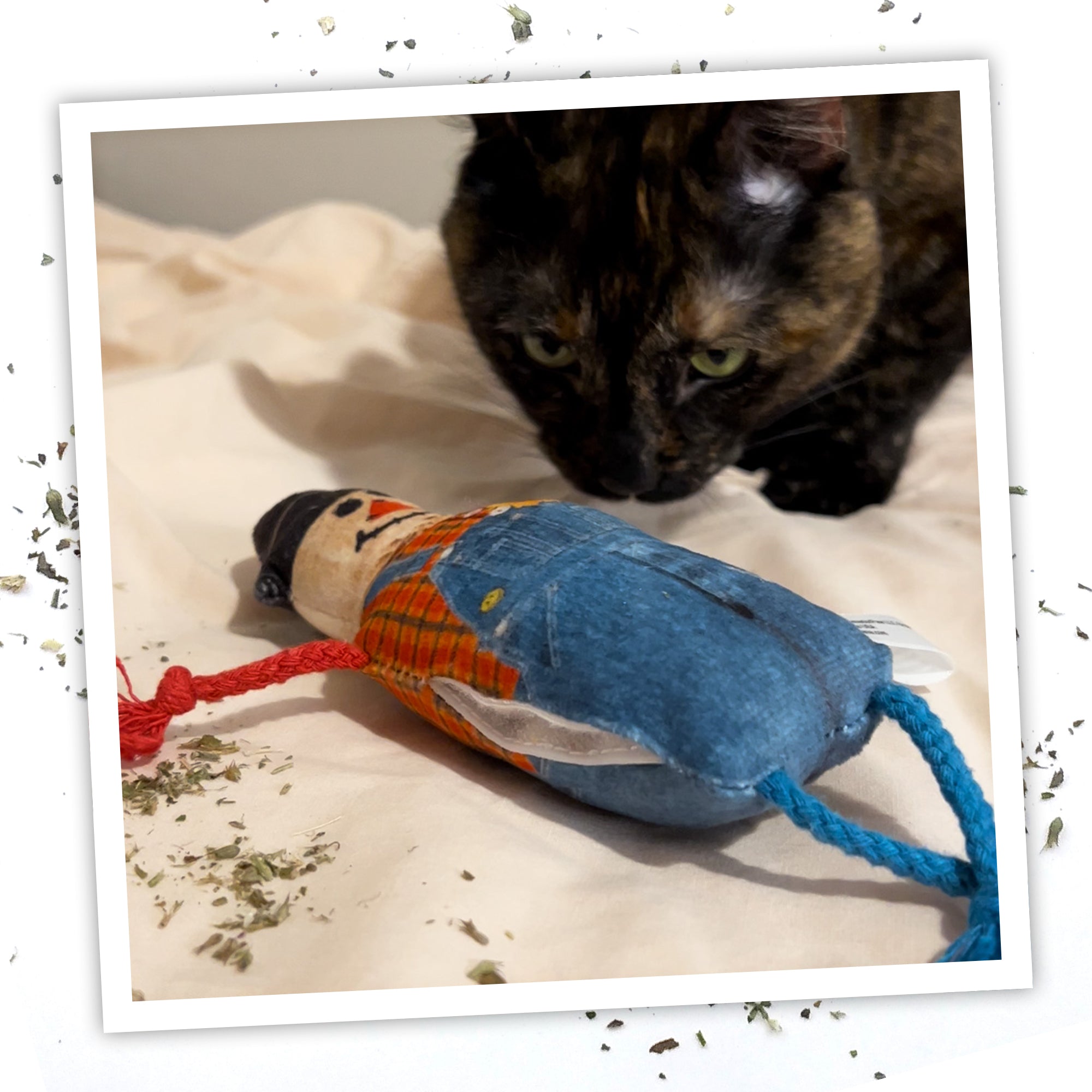 Meowijuana "Get Spooked" - Scarecrow Fillable Catnip Toy