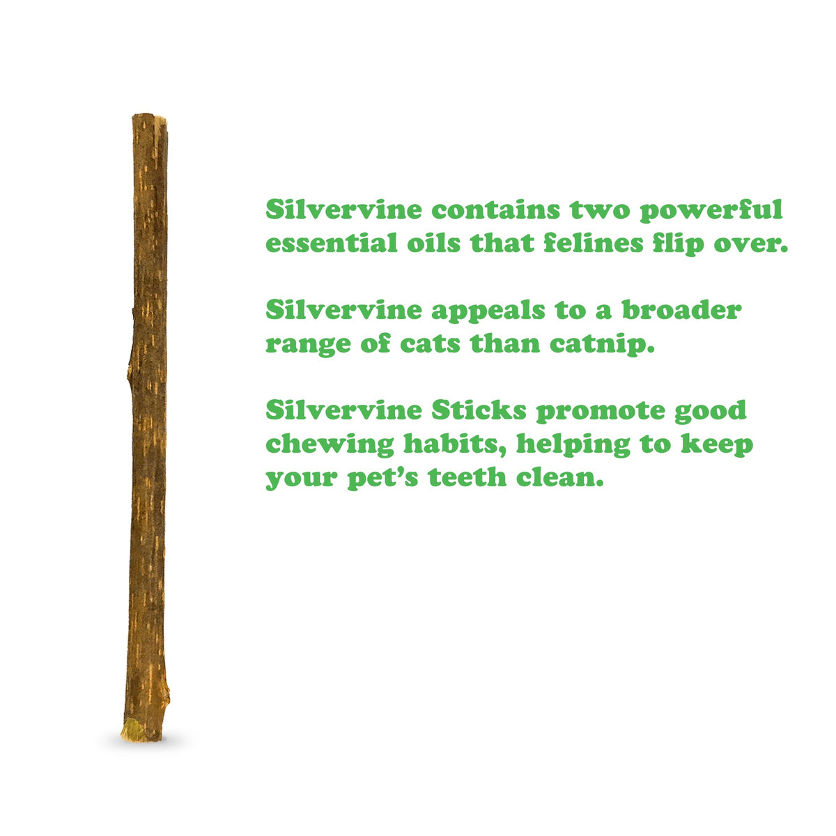 Meowijuana Silvervine Stick 6 pack