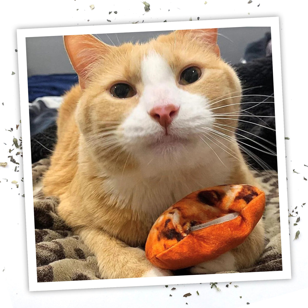 Meowijuana Get Baked Cookie Cat Toy