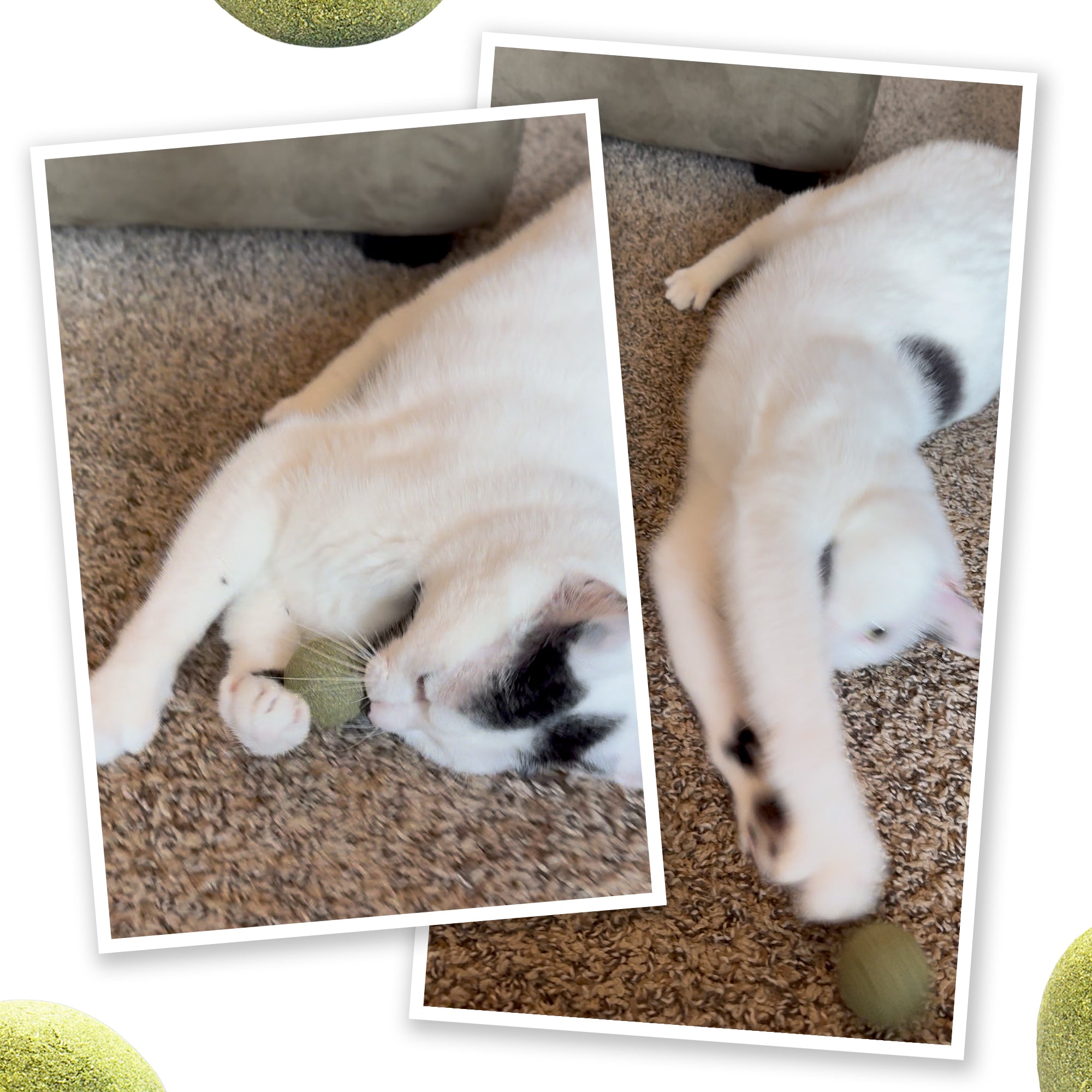 Meowijuana Purrple Passion Compressed Catnip Ball Refills 2pk