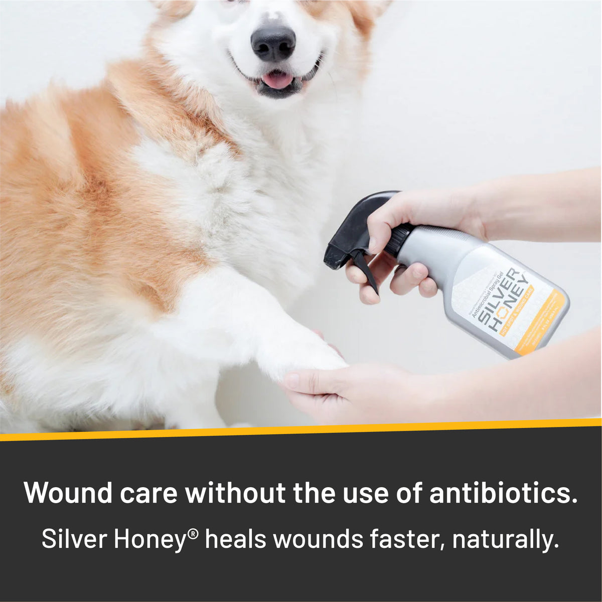 Absorbine Pet - Silver Honey Hot Spot & Wound Care Spray 8 fl oz.