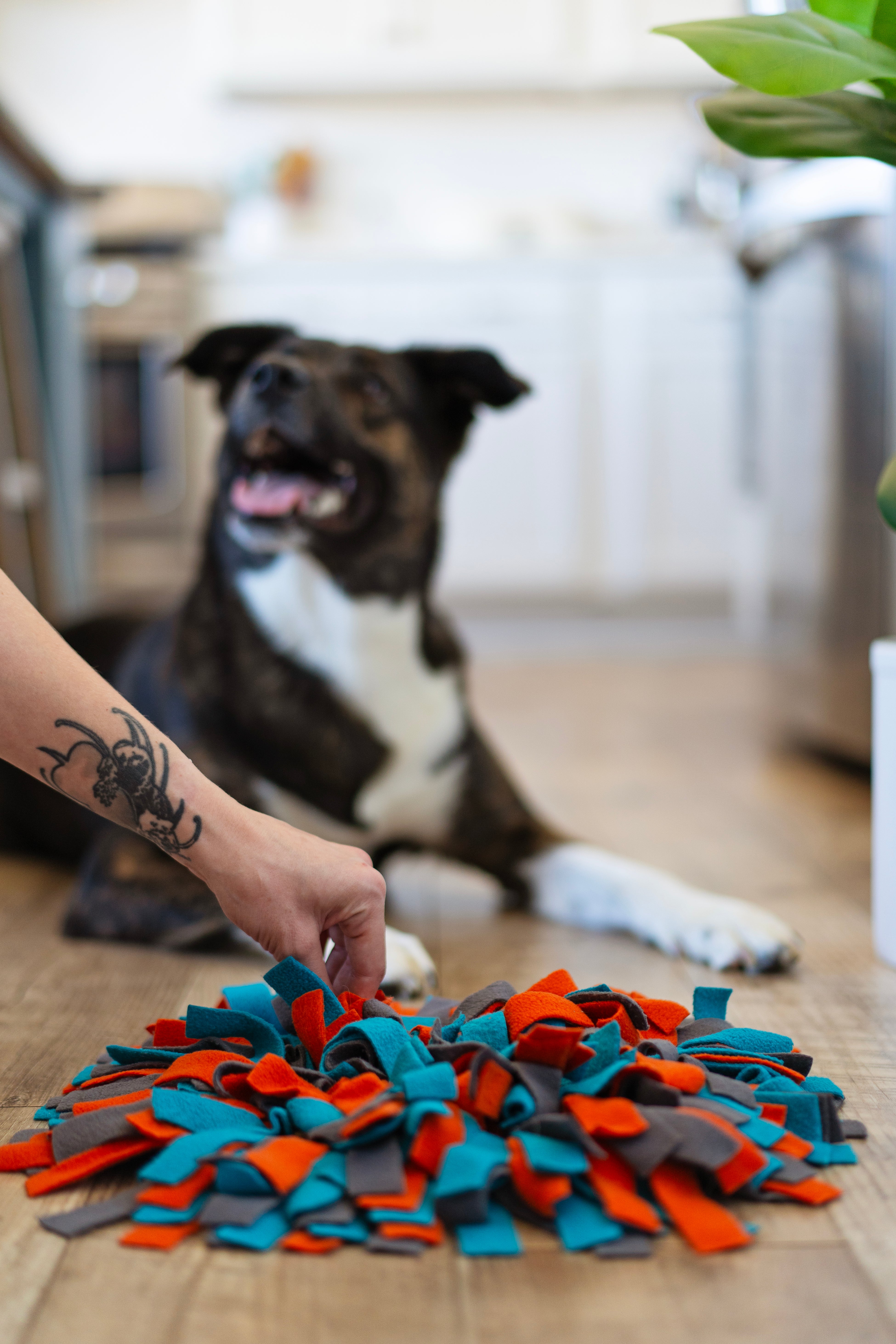 Messy Mutts Round Forage/Snuffle Mat 15" with Suction