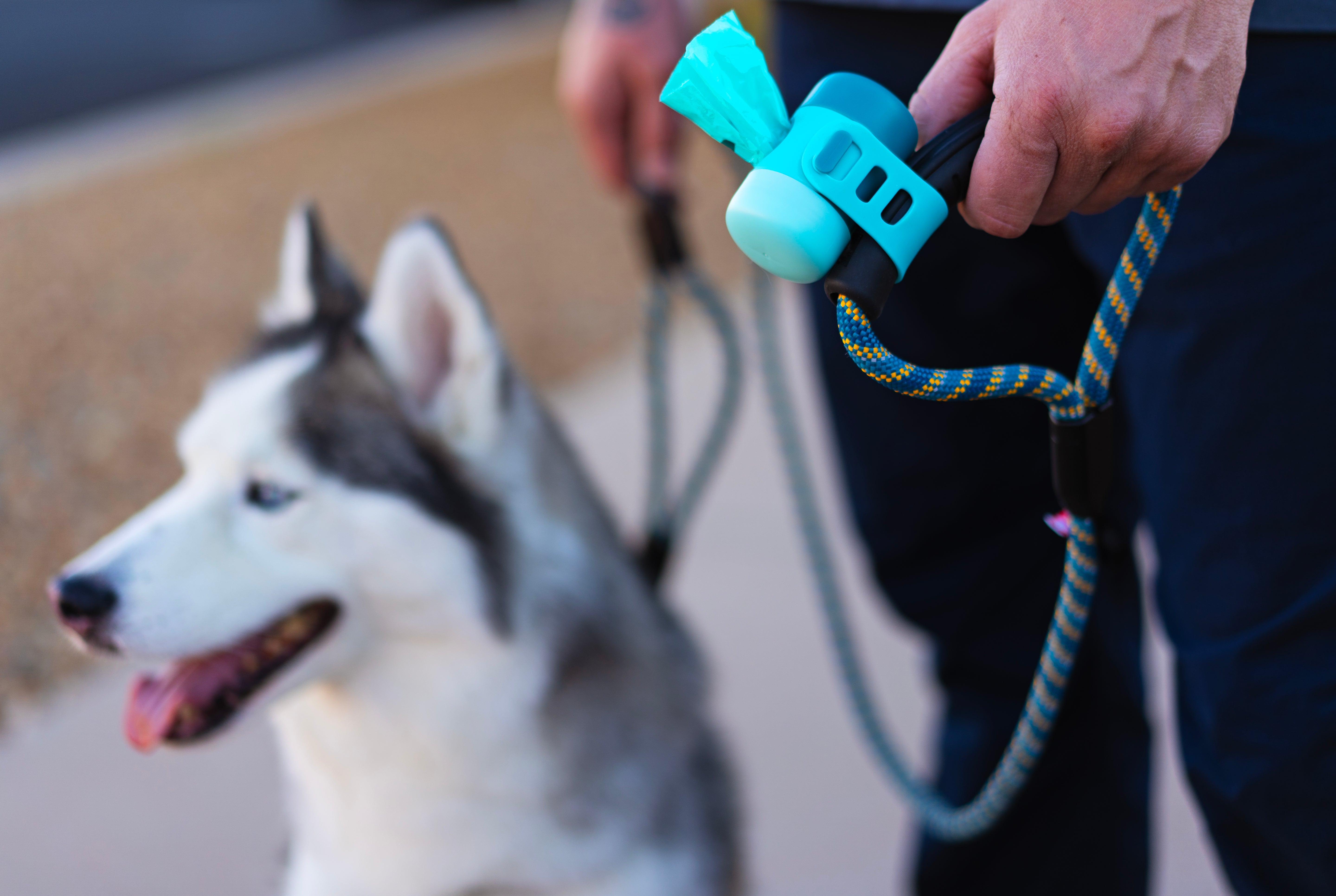 Messy Mutts Poop Bag Dispensor with Silicone Strap, 2.9" x 1.7", Assorted Blue