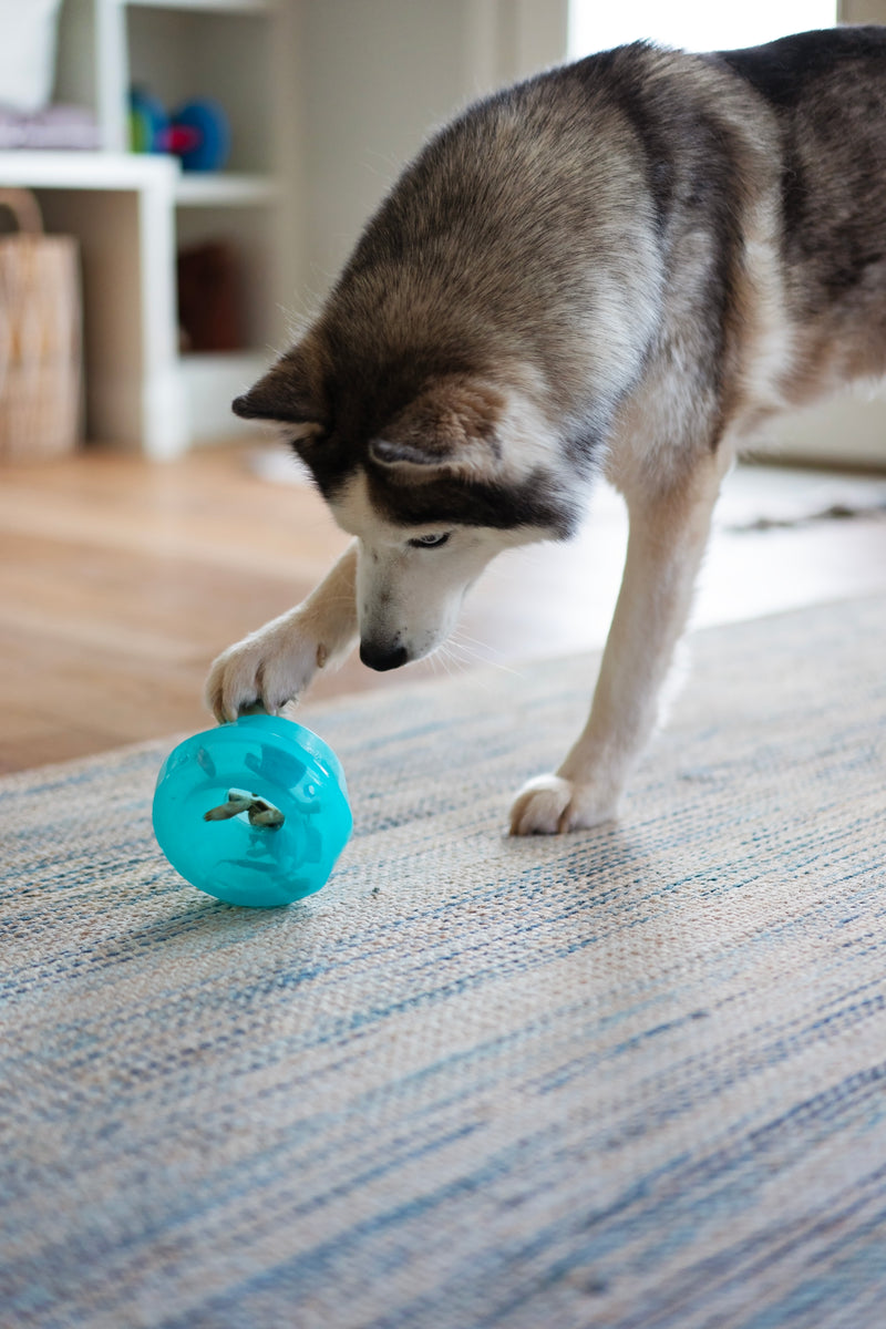 Totally Pooched Stuff'n Wobble Ball Teal 5" x 3.5"