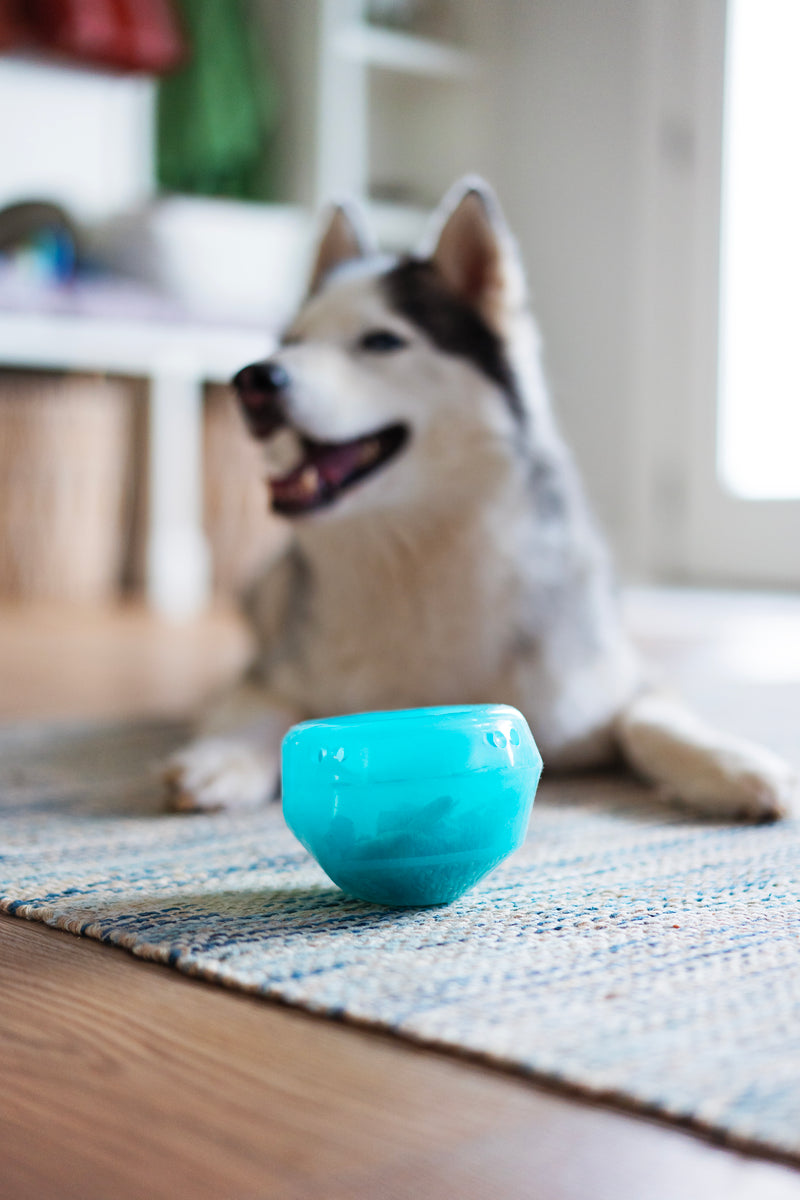 Totally Pooched Stuff'n Wobble Ball Teal 5" x 3.5"