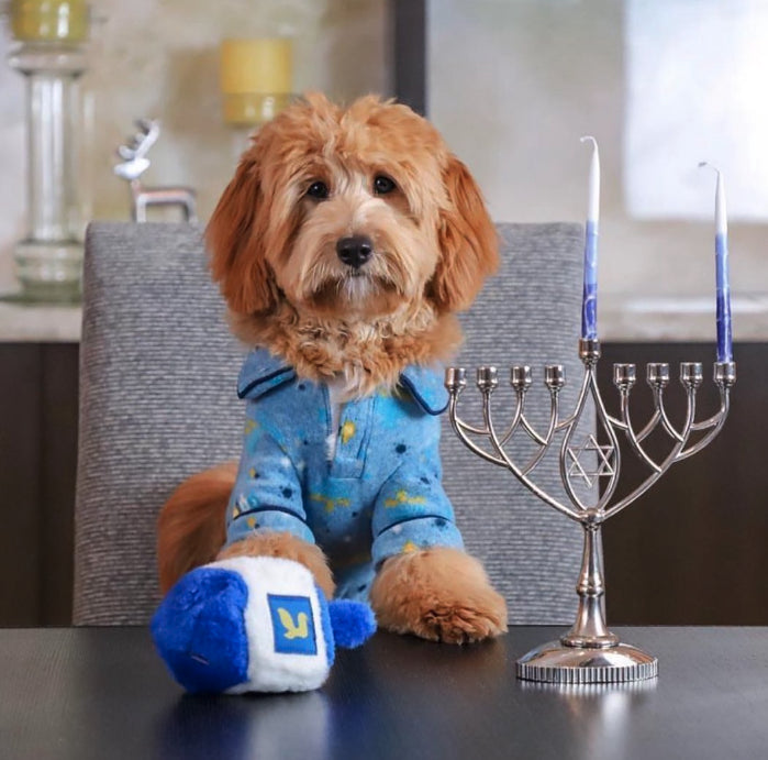 Multipet Dreidel Talking Hanukkah Dog Toy