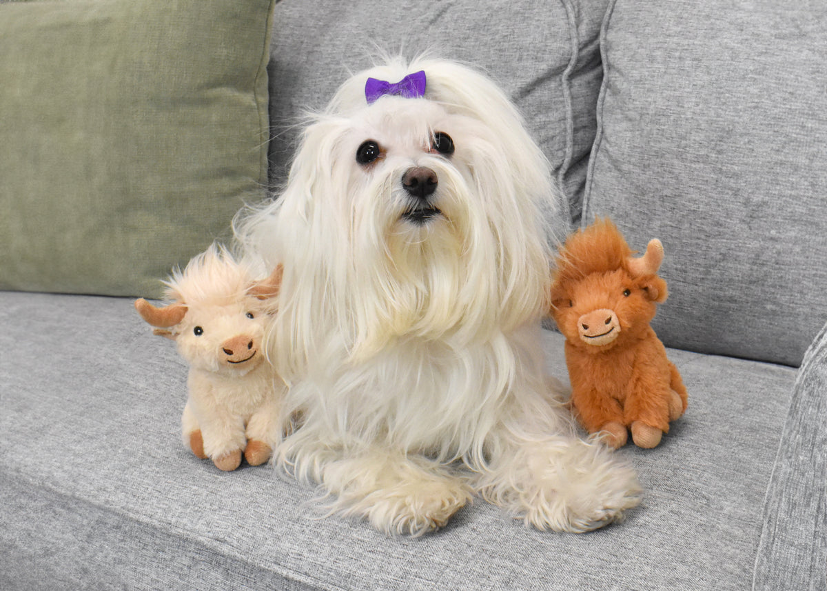Multipet Minipet Highland Cow Dog Toy 5"