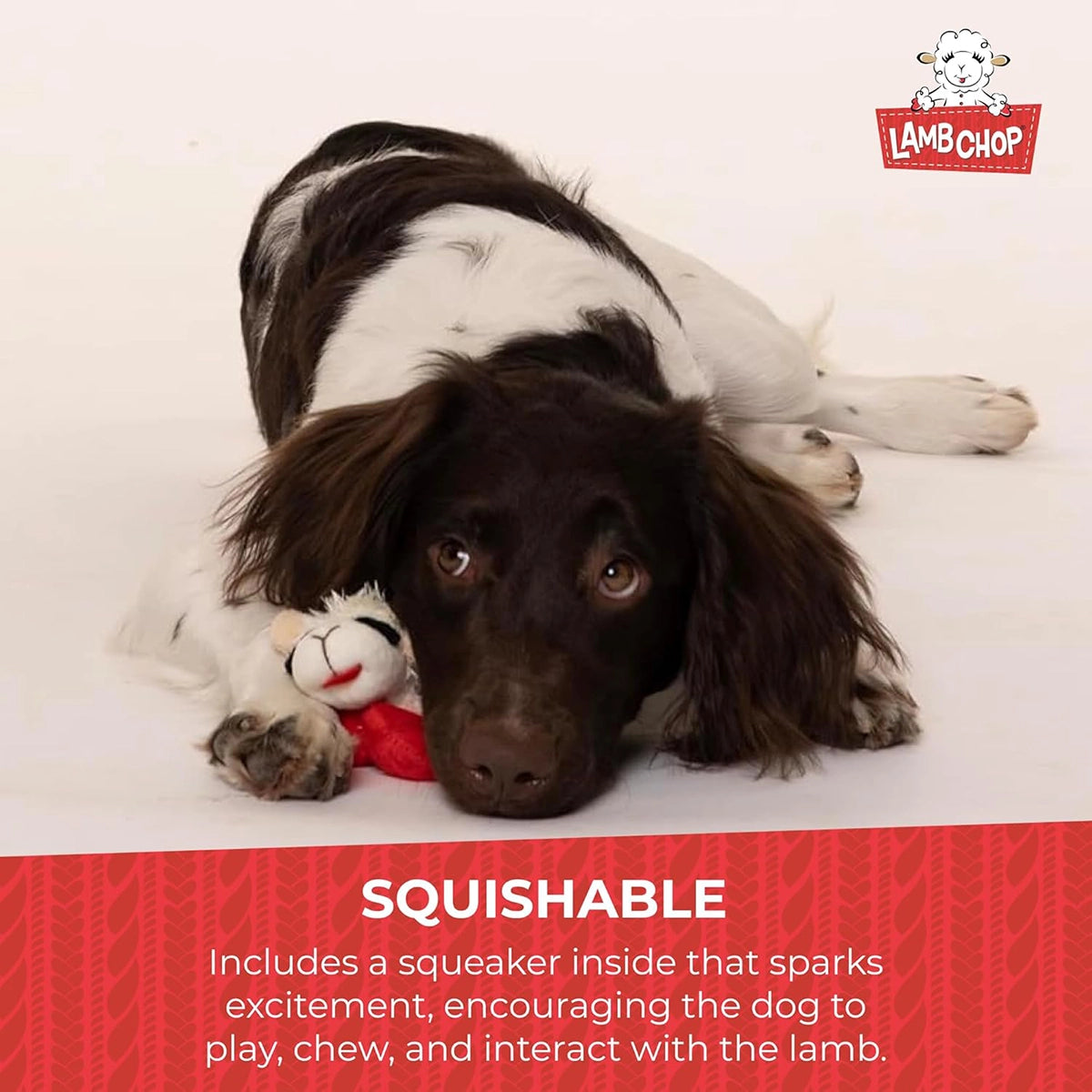 Multipet Lamb Chop Plush Dog Toy 6"