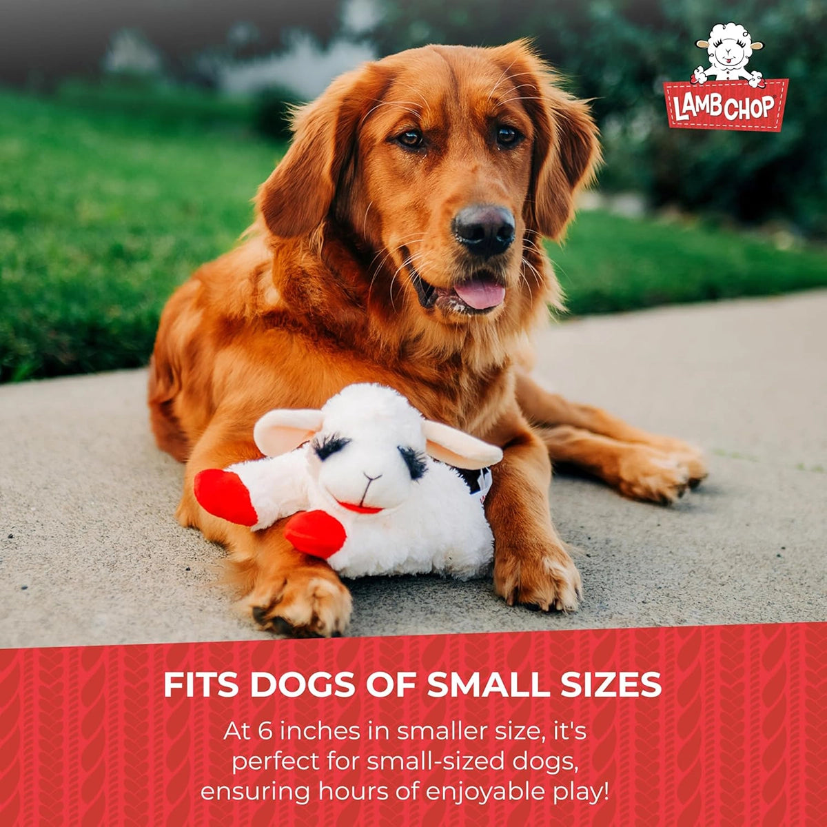 Multipet Lamb Chop Plush Dog Toy 6"