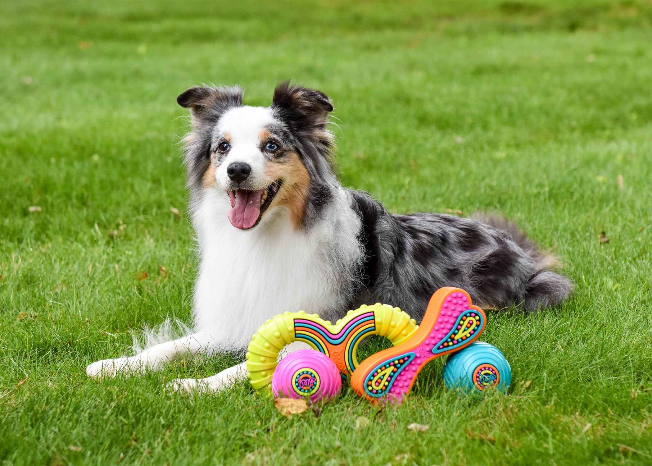 Multipet GROOVERz Ball TPR Dog Toy Assorted