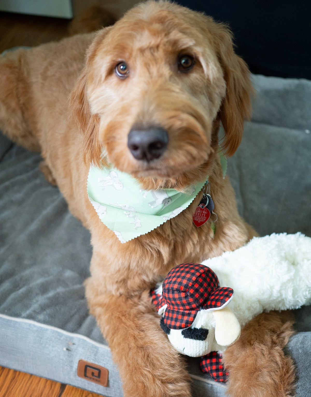 Multipet Lamb Chop w/ Buffalo Plaid Trapper Hat 10.5"
