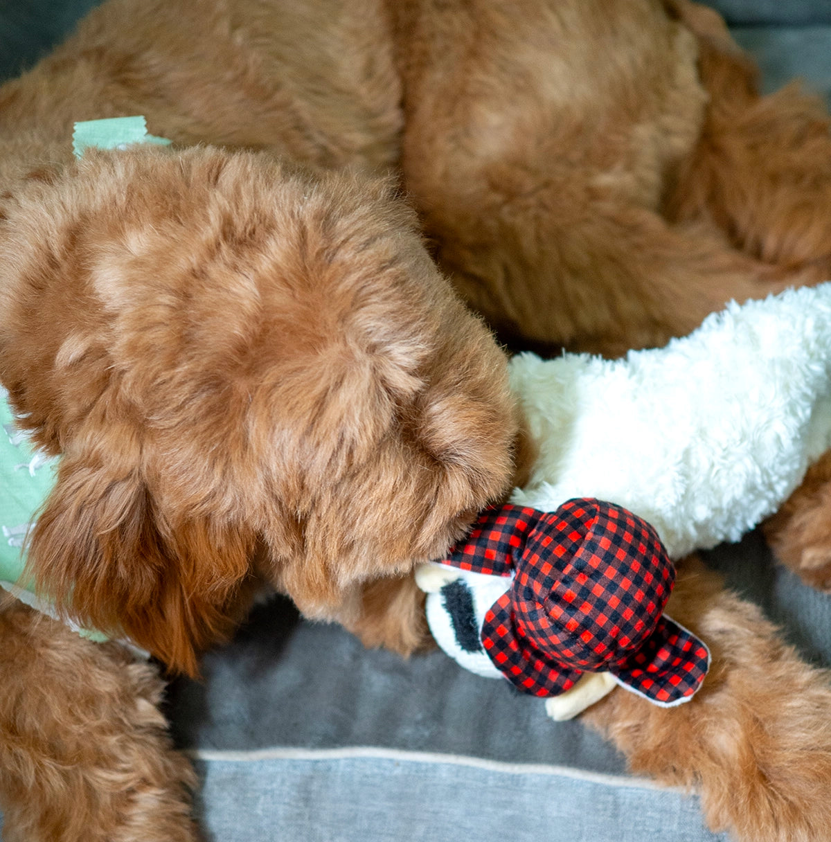 Multipet Lamb Chop w/ Buffalo Plaid Trapper Hat 10.5"