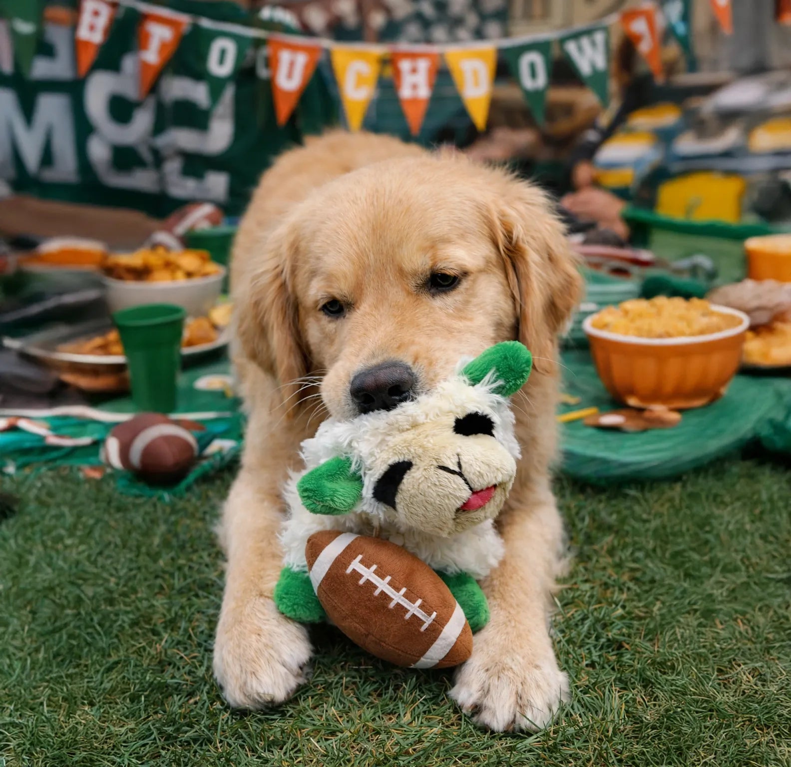 Multipet Tailgate Lamb Chop w/ Football 6.5"