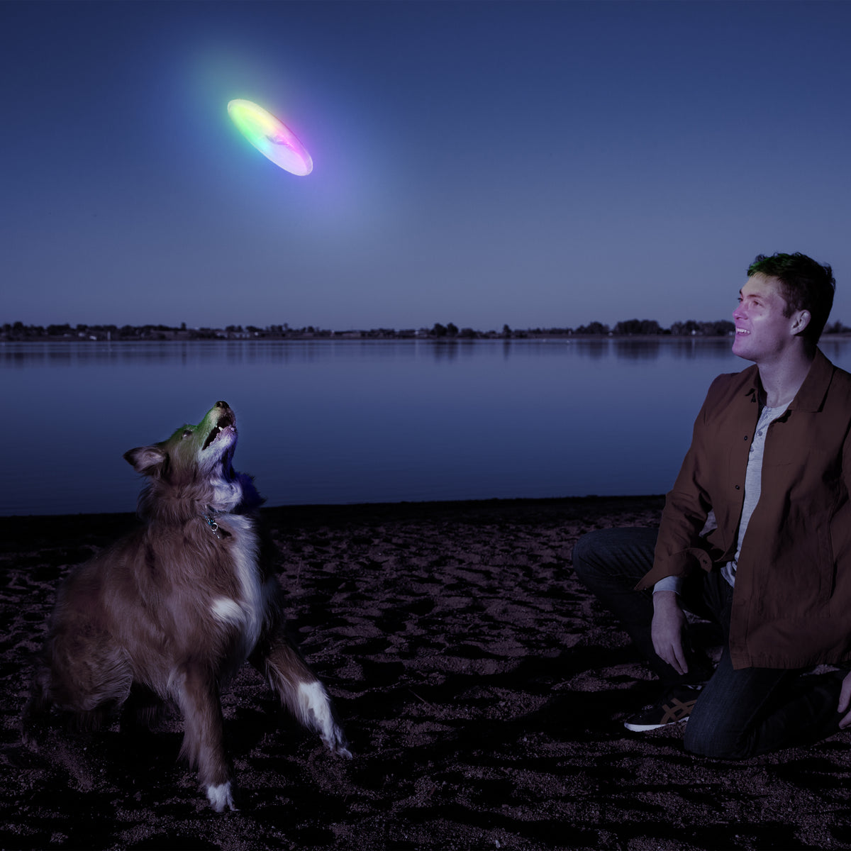 Nite Ize Flashflight Dog Discuit LED Flying Disc - Disc-O