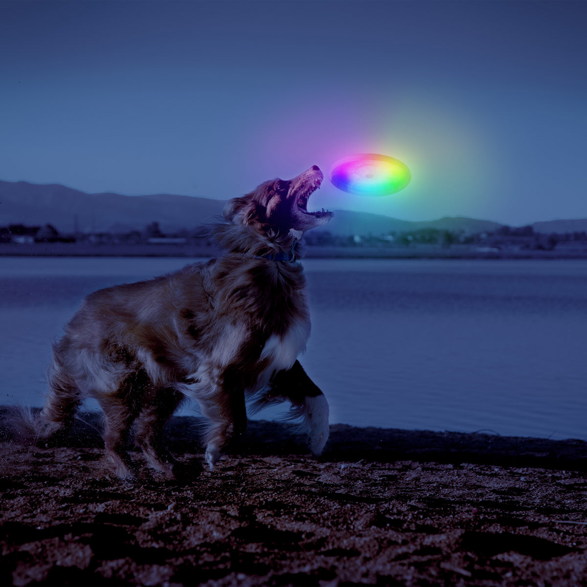 Nite Ize Flashflight Dog Discuit LED Flying Disc - Disc-O