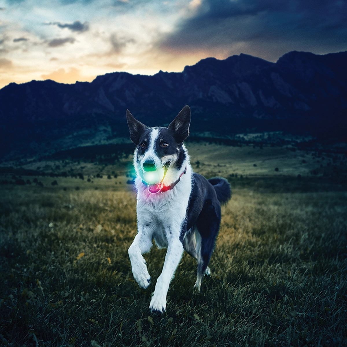 Nite Ize GlowStreak LED Ball - Disc-O